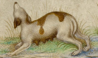 Hours by Taddeo Crivelli